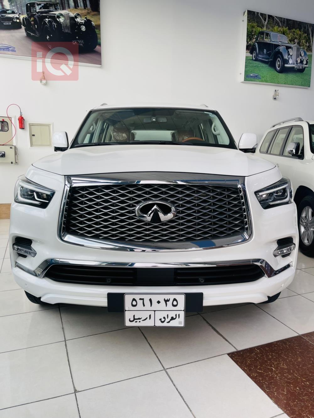 ئينفنتي QX80